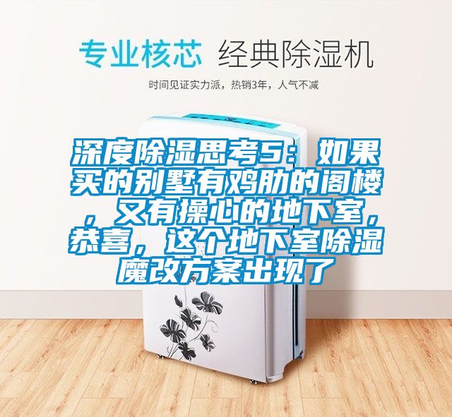深度除濕思考5：如果買的別墅有雞肋的閣樓，又有操心的地下室，恭喜，這個(gè)地下室除濕魔改方案出現(xiàn)了