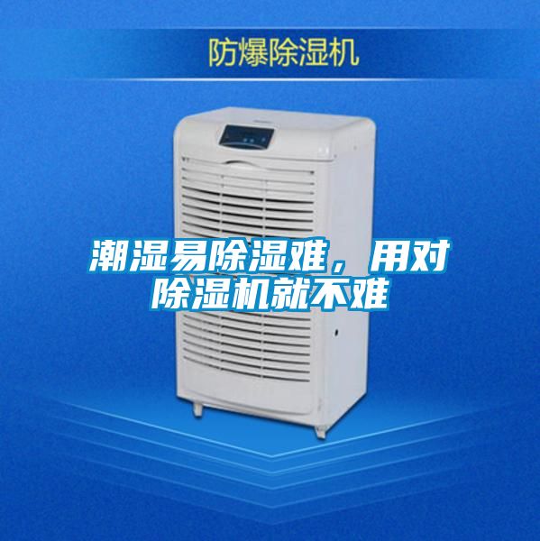 潮濕易除濕難，用對除濕機就不難