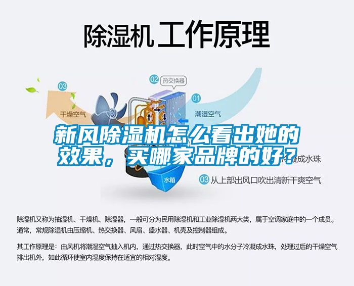 新風(fēng)除濕機(jī)怎么看出她的效果，買哪家品牌的好？