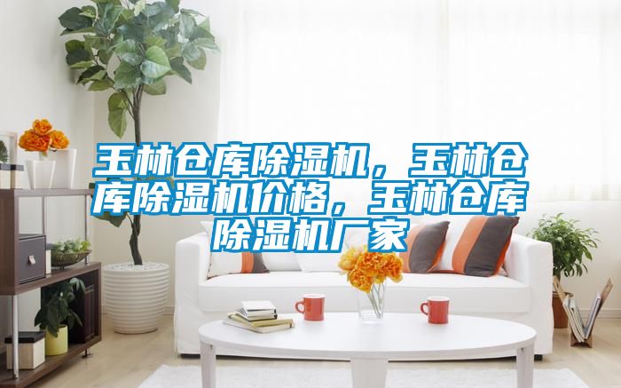 玉林倉庫除濕機，玉林倉庫除濕機價格，玉林倉庫除濕機廠家