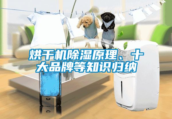 烘干機(jī)除濕原理、十大品牌等知識歸納