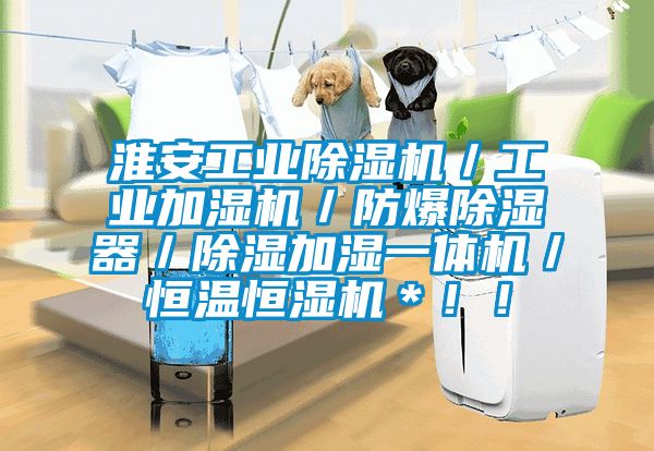淮安工業(yè)除濕機(jī)／工業(yè)加濕機(jī)／防爆除濕器／除濕加濕一體機(jī)／恒溫恒濕機(jī)＊??！