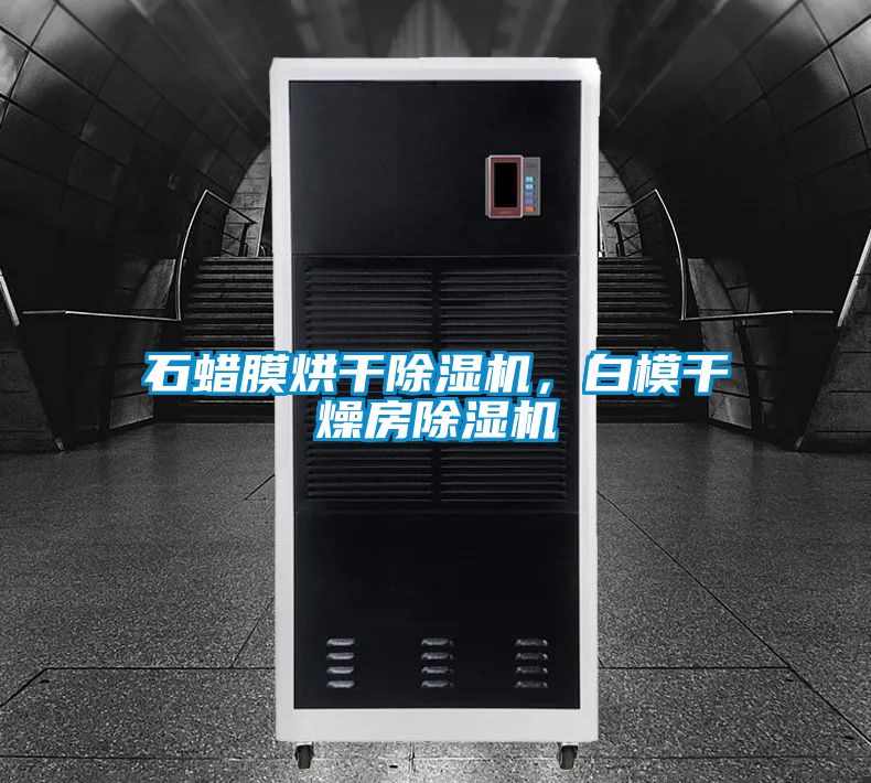 石蠟?zāi)ず娓沙凉駲C，白模干燥房除濕機