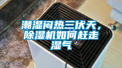 潮濕悶熱三伏天，除濕機(jī)如何趕走濕氣
