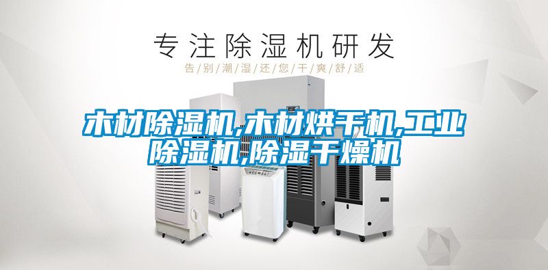 木材除濕機,木材烘干機,工業(yè)除濕機,除濕干燥機