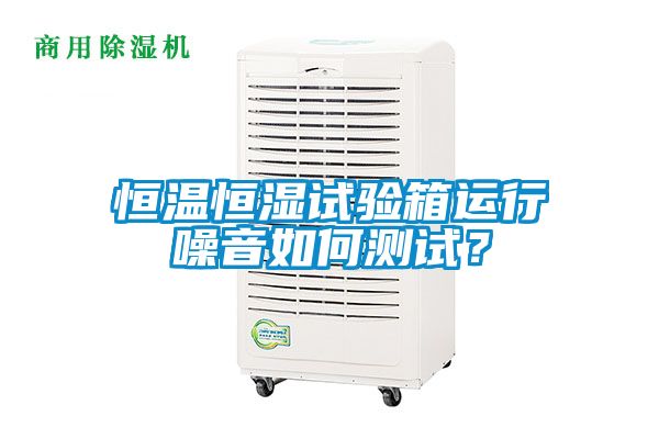 恒溫恒濕試驗(yàn)箱運(yùn)行噪音如何測(cè)試？