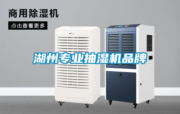 湖州專(zhuān)業(yè)抽濕機(jī)品牌