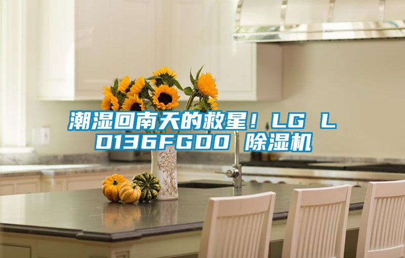 潮濕回南天的救星！LG LD136FGD0 除濕機