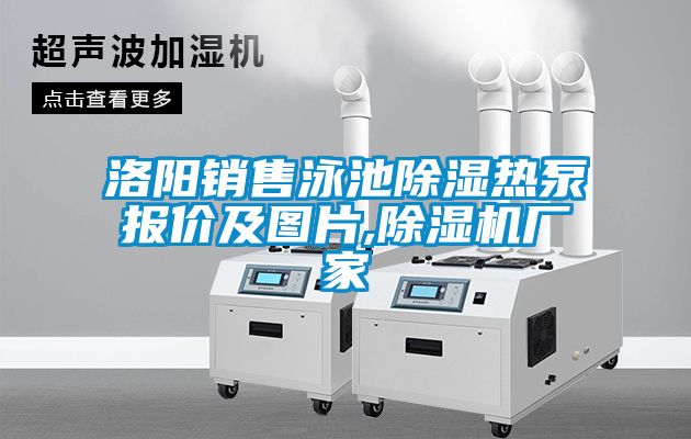 洛陽(yáng)銷售泳池除濕熱泵報(bào)價(jià)及圖片,除濕機(jī)廠家