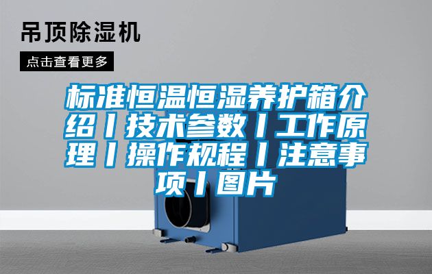 標(biāo)準(zhǔn)恒溫恒濕養(yǎng)護箱介紹丨技術(shù)參數(shù)丨工作原理丨操作規(guī)程丨注意事項丨圖片