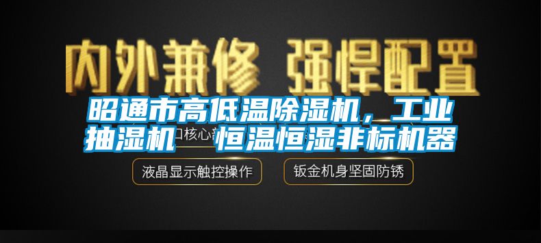昭通市高低溫除濕機(jī)，工業(yè)抽濕機(jī)  恒溫恒濕非標(biāo)機(jī)器
