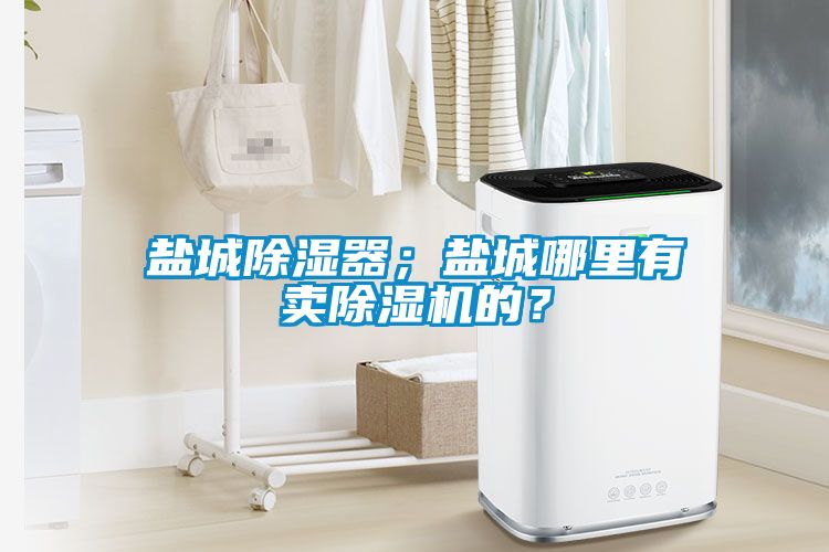 鹽城除濕器；鹽城哪里有賣除濕機的？