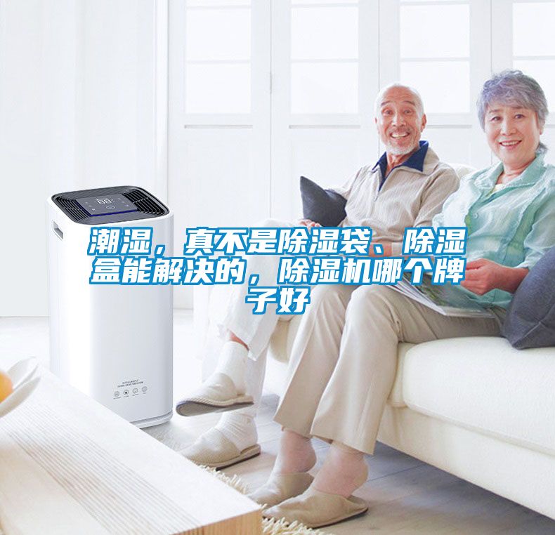 潮濕，真不是除濕袋、除濕盒能解決的，除濕機(jī)哪個(gè)牌子好