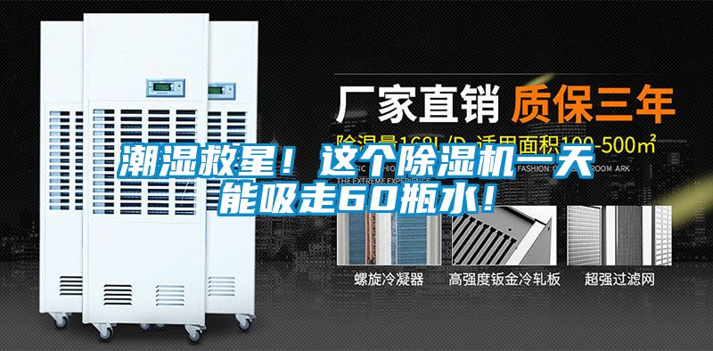 潮濕救星！這個除濕機一天能吸走60瓶水！