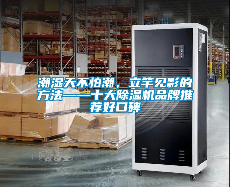 潮濕天不怕潮，立竿見(jiàn)影的方法——十大除濕機(jī)品牌推薦好口碑