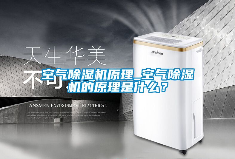 空氣除濕機(jī)原理_空氣除濕機(jī)的原理是什么？