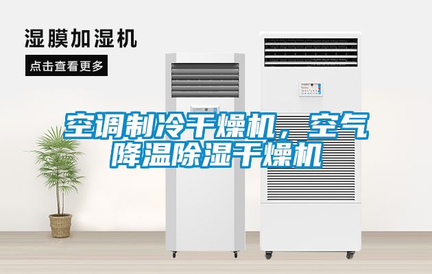 空調(diào)制冷干燥機，空氣降溫除濕干燥機