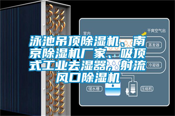 泳池吊頂除濕機、南京除濕機廠家、吸頂式工業(yè)去濕器，射流風(fēng)口除濕機