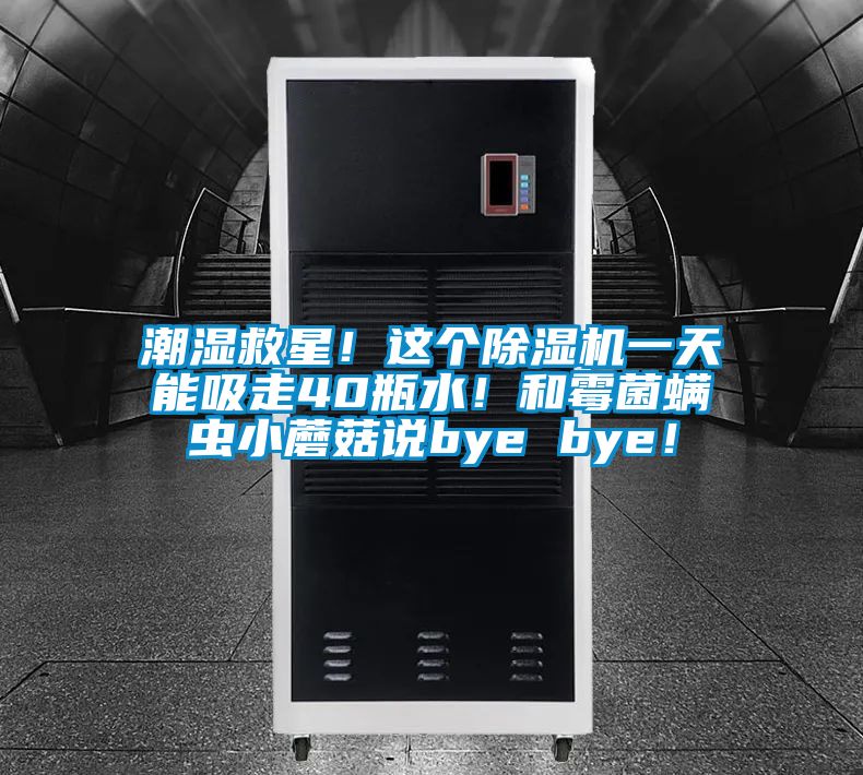 潮濕救星！這個除濕機一天能吸走40瓶水！和霉菌螨蟲小蘑菇說bye bye！