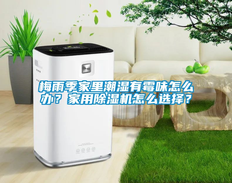 梅雨季家里潮濕有霉味怎么辦？家用除濕機(jī)怎么選擇？