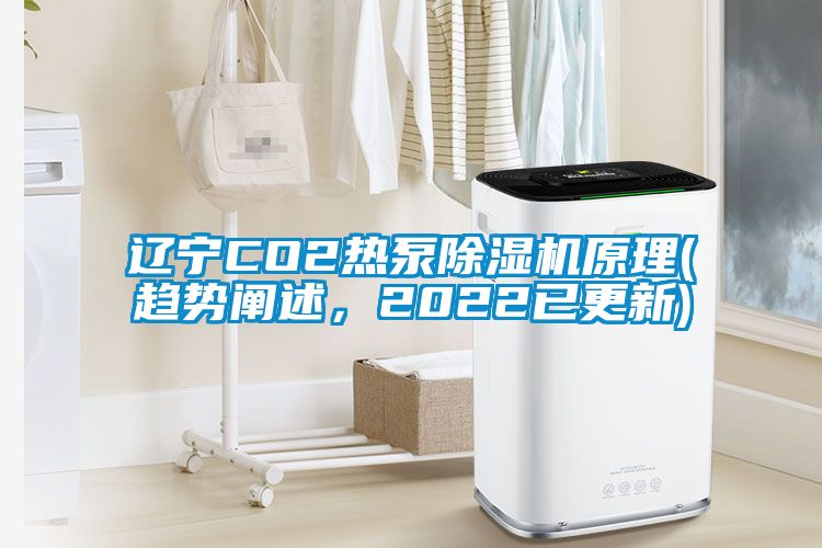 遼寧CO2熱泵除濕機原理(趨勢闡述，2022已更新)