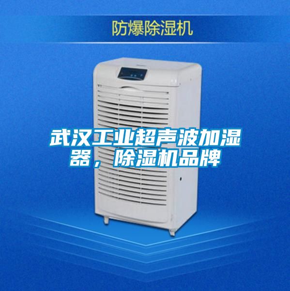 武漢工業(yè)超聲波加濕器，除濕機(jī)品牌
