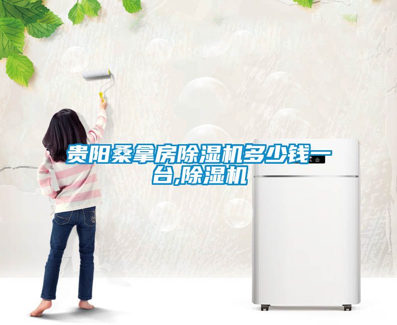 貴陽桑拿房除濕機(jī)多少錢一臺(tái),除濕機(jī)