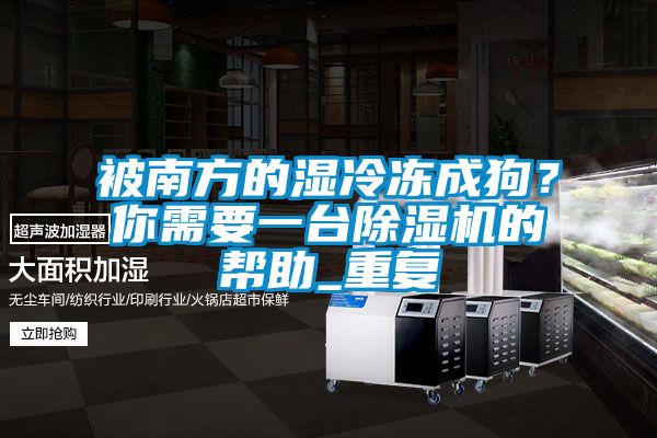 被南方的濕冷凍成狗？你需要一臺(tái)除濕機(jī)的幫助_重復(fù)