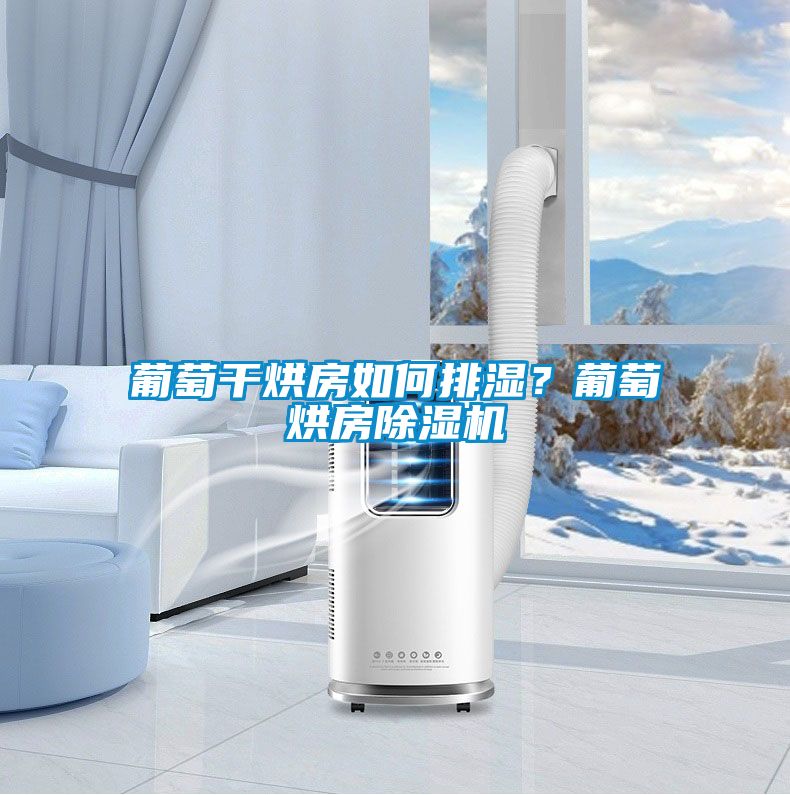 葡萄干烘房如何排濕？葡萄烘房除濕機