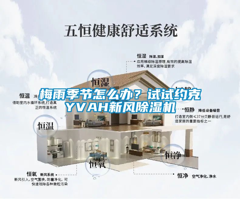 梅雨季節(jié)怎么辦？試試約克YVAH新風(fēng)除濕機(jī)