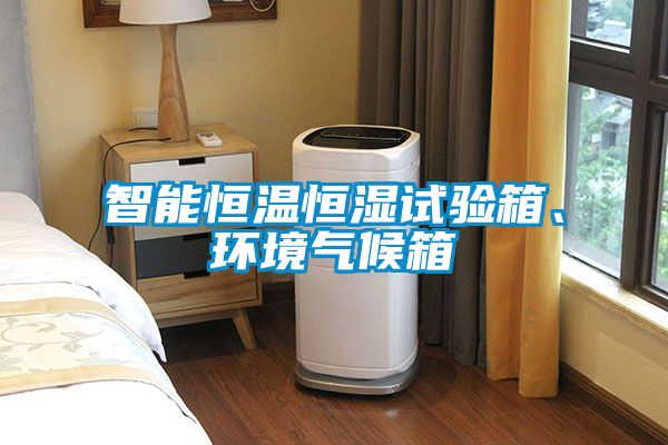 智能恒溫恒濕試驗箱、環(huán)境氣候箱