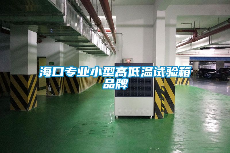 ?？趯I(yè)小型高低溫試驗(yàn)箱品牌