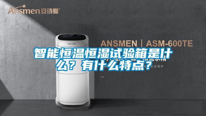 智能恒溫恒濕試驗(yàn)箱是什么？有什么特點(diǎn)？
