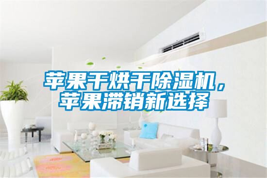 蘋果干烘干除濕機(jī)，蘋果滯銷新選擇