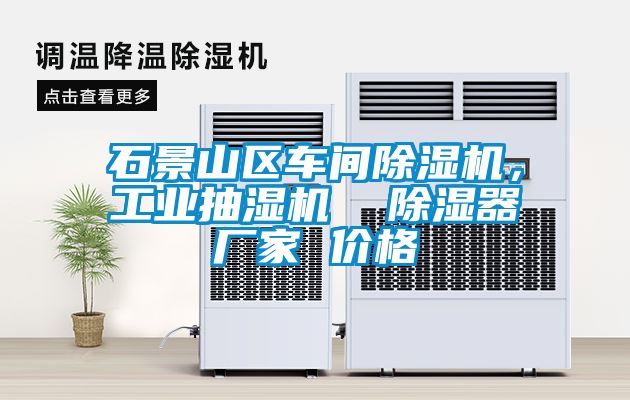 石景山區(qū)車間除濕機(jī)，工業(yè)抽濕機(jī)  除濕器廠家 價(jià)格