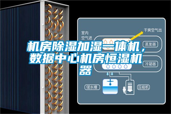 機房除濕加濕一體機，數(shù)據(jù)中心機房恒濕機器
