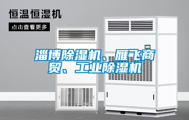 淄博除濕機、雁飛商貿(mào)、工業(yè)除濕機