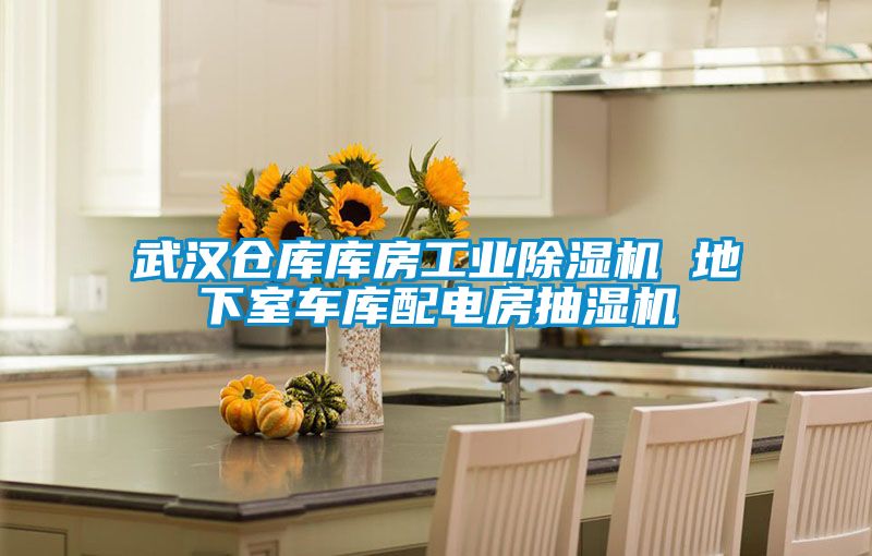 武漢倉庫庫房工業(yè)除濕機(jī) 地下室車庫配電房抽濕機(jī)