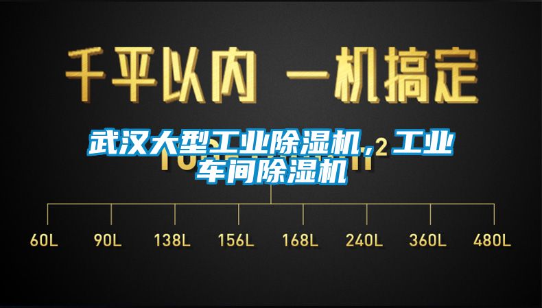 武漢大型工業(yè)除濕機(jī)，工業(yè)車間除濕機(jī)