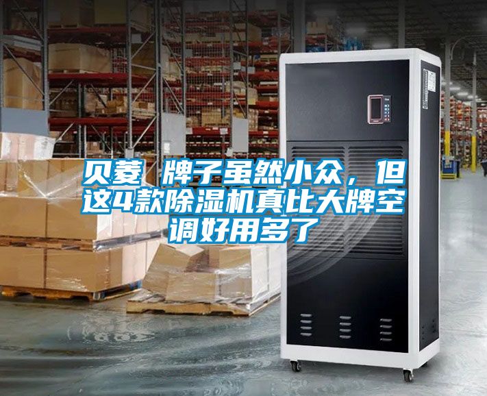 貝菱 牌子雖然小眾，但這4款除濕機真比大牌空調(diào)好用多了