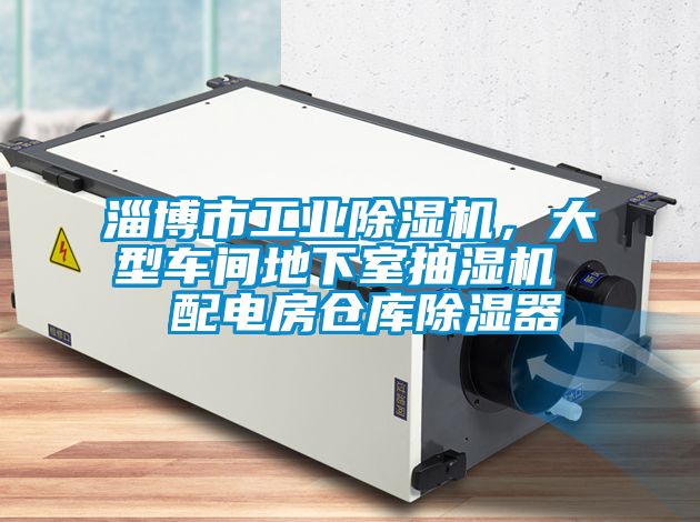 淄博市工業(yè)除濕機(jī)，大型車間地下室抽濕機(jī)  配電房倉(cāng)庫(kù)除濕器
