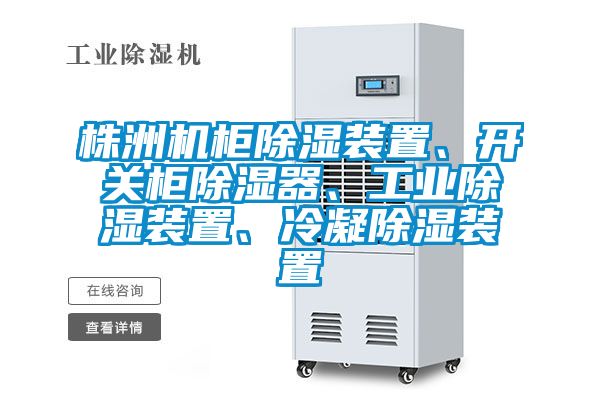 株洲機(jī)柜除濕裝置、開關(guān)柜除濕器、工業(yè)除濕裝置、冷凝除濕裝置