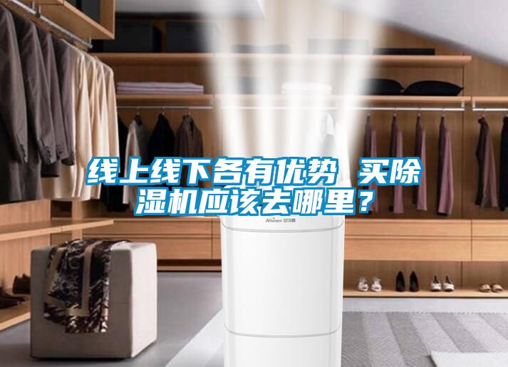 線上線下各有優(yōu)勢 買除濕機(jī)應(yīng)該去哪里？