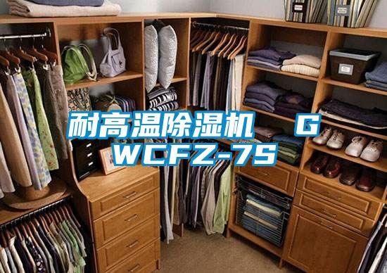 耐高溫除濕機  GWCFZ-7S