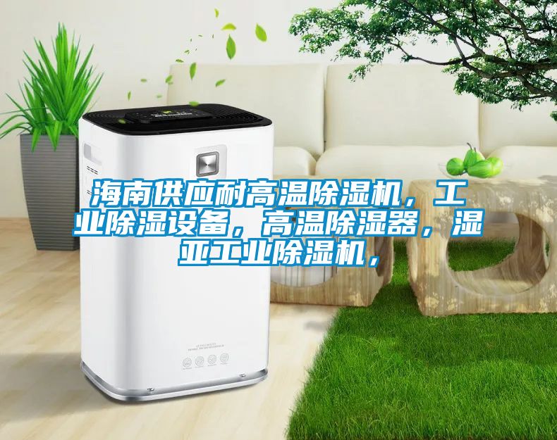 海南供應(yīng)耐高溫除濕機(jī)，工業(yè)除濕設(shè)備，高溫除濕器，濕亞工業(yè)除濕機(jī)，