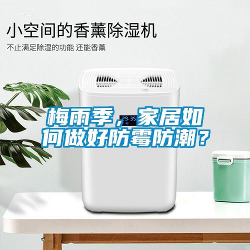 梅雨季，家居如何做好防霉防潮？