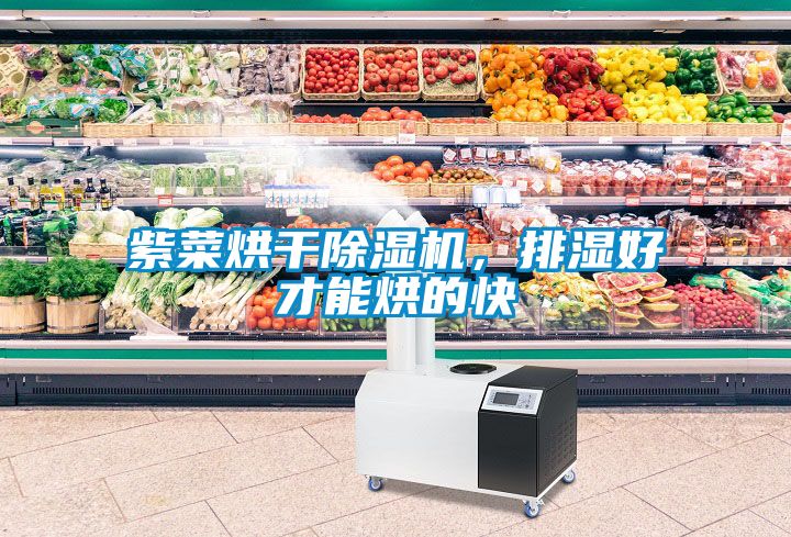 紫菜烘干除濕機(jī)，排濕好才能烘的快