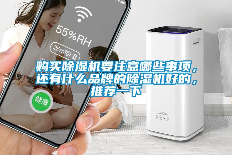 購買除濕機要注意哪些事項，還有什么品牌的除濕機好的，推薦一下