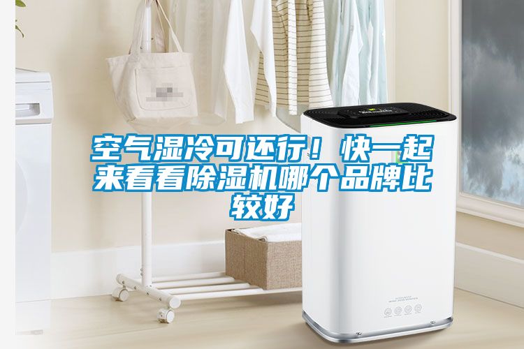 空氣濕冷可還行！快一起來看看除濕機(jī)哪個(gè)品牌比較好