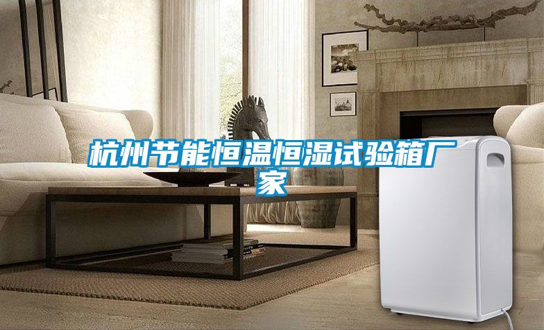 杭州節(jié)能恒溫恒濕試驗箱廠家